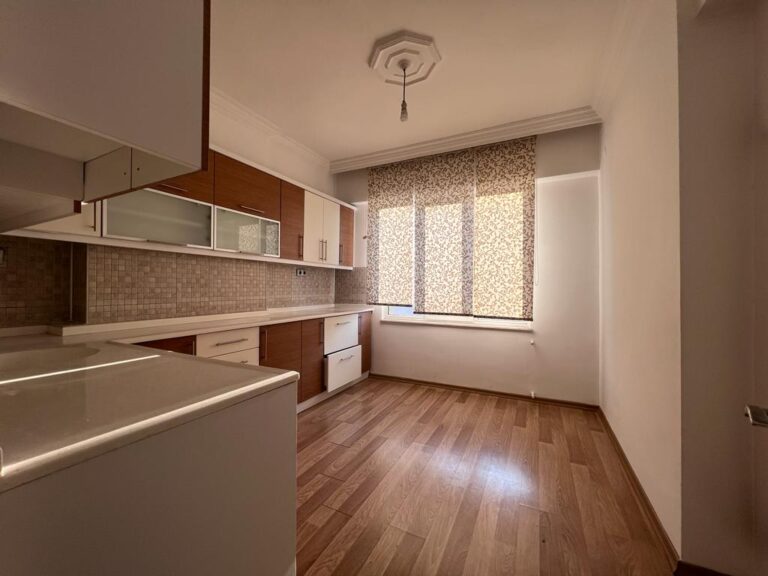 cd41481b-7528-4eaf-a869-db35b748cb7e